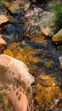 Çakıl taşlarının üzerinde kristal berrak dere suyu. Stock Video 'da Doğanın Huzuru. 4K Yavaş Hareket Dikey Stok görüntüsü 