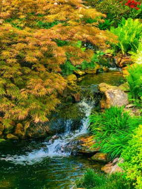 Doğal taştan şelale, yosun kaplı kayaların üzerinde huzurlu bir bahçe göleti oluşturur. Altın yapraklar zümrüt bitkiler ve kristal berraklığında akan akarsularla çok güzel tezat oluşturuyor..