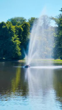 Güneşli bir günde Berrak Yeşil Ağaçlarla çevrili Serene Park Gölü 'nde Söndürülen Zarif Pınar Suyu, Rahatlama ve Doğa Takdir İçin Mükemmel, Huzurlu Manzara Görüntüsü. 4K Yavaş Hareket Videosu 