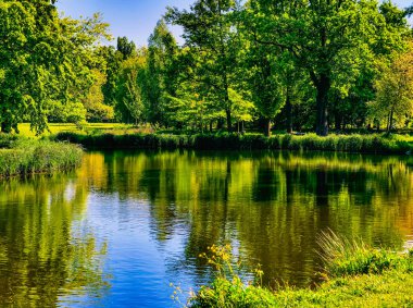 Bereketli Yeşil Ağaçlar ve Bitkilerle çevrili, Huzurlu Park Yerleşiminin Doğal Güzelliğini ve Huzurunu Yansıtan, Rahatlama ve Doğa Takdir İçin İdeal