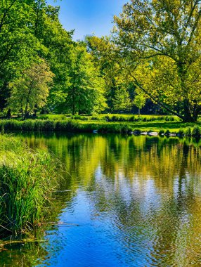Bereketli Yeşil Ağaçlar ve Bitkilerle çevrili, Huzurlu Park Yerleşiminin Doğal Güzelliğini ve Huzurunu Yansıtan, Rahatlama ve Doğa Takdir İçin İdeal
