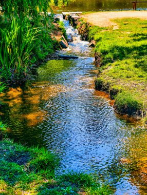 Büyüleyici Akış Yeşillik Parkı 'nda, Vegetation ve Sunlit Grass ile çevrelenmiş, Huzurlu ve Ferahlatıcı Doğal bir Rahatlama ve Keyif Ortamı Oluşturur