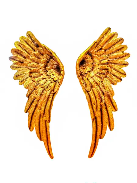 Altın Melek Kanatları Özgürlüğün, Ruhun ve İlahi Işığın Zarif Sembolü. Parlak altın tonlar ve zarif şekil huzur, zarafet ve ilahi varlığı çağrıştırıyor.