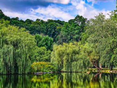 Lush Willow Trees yansımalı Serene Gölü. Telefonlar, tabletler, dizüstü bilgisayarlar, televizyonlar için yüksek çözünürlüklü duvar kağıdı. Sosyal Medya, Pazarlama, Web Tasarımı için ideal