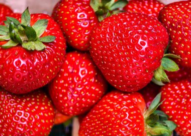 Güzel Olgun Çilekler. Yakın plan. Sağlıklı Gıda Tasarımı, Organik Yaşam Tarzı, Yaz Meyve Pazarlaması, Duvar Kağıdı, Web Tasarımı ve Sosyal Medya Tanıtımları için Canlı Kırmızı Meyve Dokusu