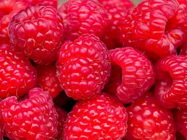 Sağlıklı Gıda Tasarımı, Yaz Meyvesi Duvar Kağıdı, Organik Yaşam Tarzı, Web Tasarımı, Sosyal Medya ve Dijital Pazarlama Projeleri için Taze Ahududu Kapalı Kırmızı Bereli Dokuma Arkaplanı. Stok Fotoğrafı 