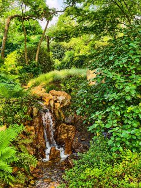 Serene Waterfall in Lush Green Peyzaj - Yüksek Çözünürlüklü Doğa Fotoğrafı Dijital Arkaplan, Sosyal Medya, Pazarlama ve Rahatlatıcı Görsel İçerik İçin İdeal
