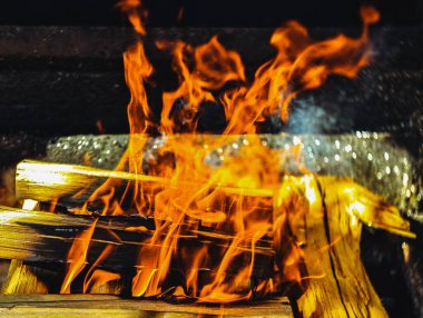 Ateş Alevleri ve Yanan Orman: Bir Şenlik Ateşi veya Kamp Ateşinden Büyüleyici Sıcaklık Parıltısı, Açık Hava ve Sıcak Atmosfer Görüntüleri, Reklamlar, Sosyal Medya ve Dijital Tanıtımlar İçin İdeal Arkaplan