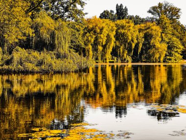 Göl Yansıması ve Altın Yapraklı Sonbahar Manzarası - Tüm Yaratıcı Projeler İçin Yüksek Çözünürlüklü Dijital Arkaplan, Reklamcılık ve Pazarlama Malzemeleri İçin Serene Doğa Sahnesi