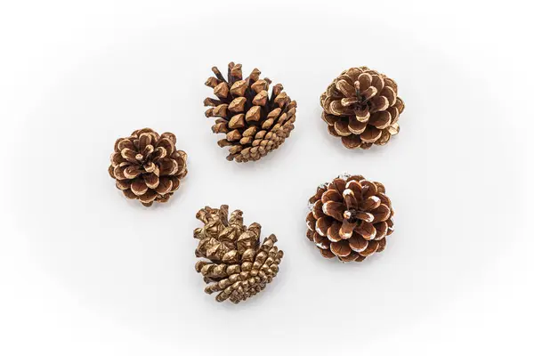 Altın boyayla boyanmış çam kozalakları.