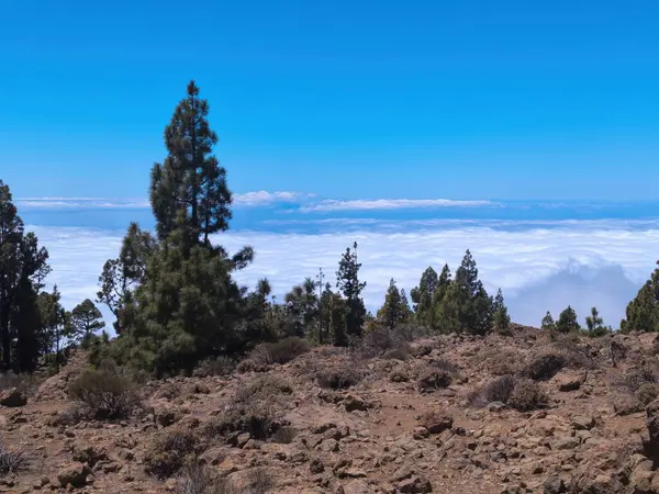 Bulutların üstündeki dağ manzarası. Yüksek kalite fotoğraf
