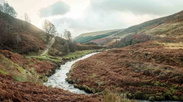 Galler 'in manzarası. Tepeler. Yüksek kalite fotoğraf