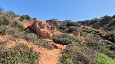Yol boyunca hareket eden bir kamera. Portekiz. Yüksek kalite 4k görüntü