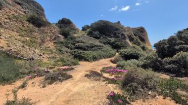 Yol boyunca hareket eden bir kamera. Portekiz. Yüksek kalite 4k görüntü