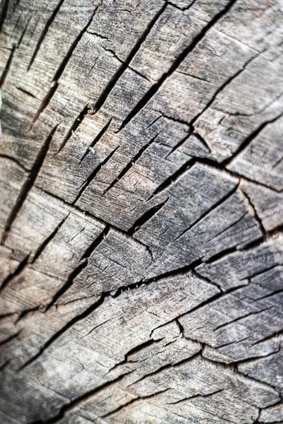 Eski ahşap doku. Yüksek kalite fotoğraf