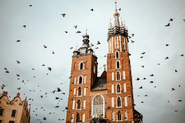 Krakow, Polonya 'da pazar meydanı ve St. Marys Bazilikası. Güneş ışığında ünlü bir katedral, Krakow Pazar Meydanı eski şehir merkezi manzaralı sabah saatlerinde, ana meydanda. Avrupa 