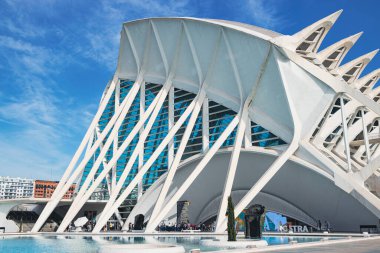VALENCIA, İspanya - 15 Ekim 2022 Valencia, İspanya 'da gün batımında Sanat ve Bilim Şehri. Sanat ve Bilim Şehri beş binadan oluşan bir mimari komplekstir.