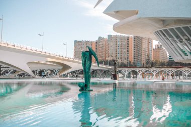 VALENCIA, İspanya - 15 Ekim 2022 Valencia, İspanya 'da gün batımında Sanat ve Bilim Şehri. Sanat ve Bilim Şehri beş binadan oluşan bir mimari komplekstir.
