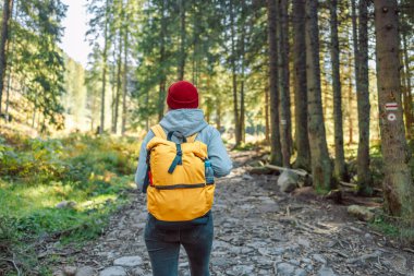 Macera ve turizm konsepti. Sarı sırt çantasıyla seyahat eden ve ormanlık alana bakan genç bir kadının arka görüntüsü.. 