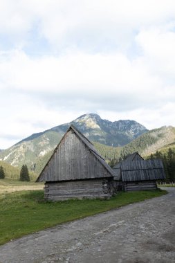 Doğadaki eski ahşap ev. Tatras Dağı, Polonya 'da geleneksel ahşap ev