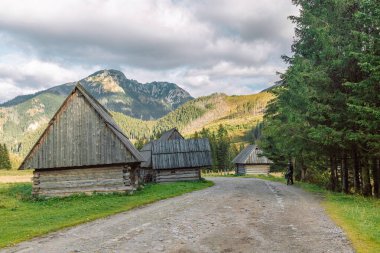 Doğadaki eski ahşap ev. Tatras Dağı, Polonya 'da geleneksel ahşap ev