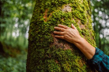 Girl hand touches a tree with moss in the wild forest. Forest ecology. Wild nature, wild life. Earth Day. Traveler girl in a beautiful green forest. Conservation, ecology, environment concept. 