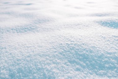 Kar ve bulanık manzaralı kış arkaplanı. Kar yağışı. Uzayı metin için kopyala. Yüksek kalite fotoğraf