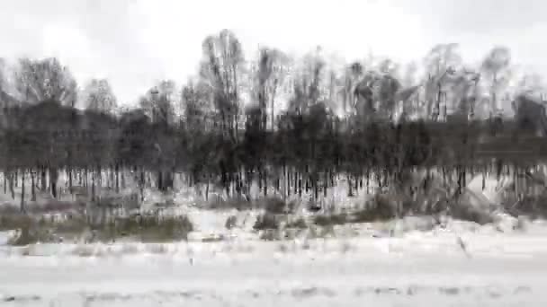 Stěhování Podél Vesnice Zamrzlých Lesích Zima Chlad Venkovské Krajiny Zemědělství — Stock video