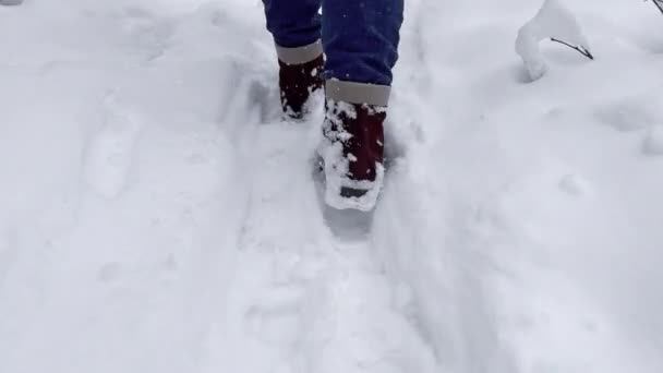 雪の中で人間の足跡 白い雪の上の歩道に従ってください 冬の季節 雪の日に足跡で雪の上を歩く女性の足 — ストック動画