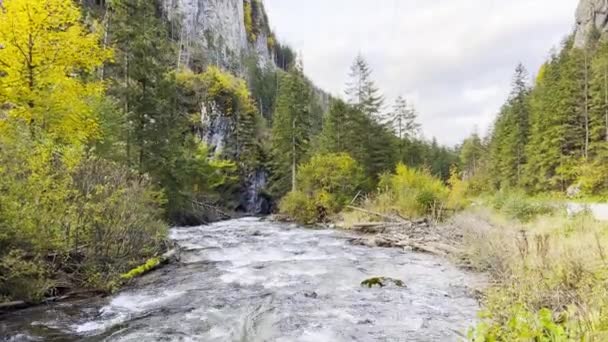 Nationalpark Polen Landschaft Gebirgsbach Wasserfall Fließt Über Felsen Durch Grüne — Stockvideo
