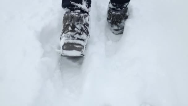 雪の中で人間の足跡 白い雪の上の歩道に従ってください 冬の季節 雪の日に足跡で雪の上を歩く女性の足 — ストック動画