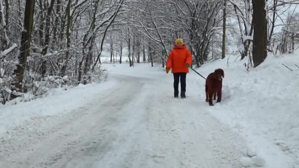 Bakifrån Senior Kvinna Promenader Sällskapsdjur Golden Retriever Hund Genom Höst — Stockvideo