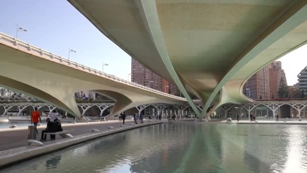 Valencia Espagne Octobre 2022 Ville Des Arts Des Sciences Coucher — Video