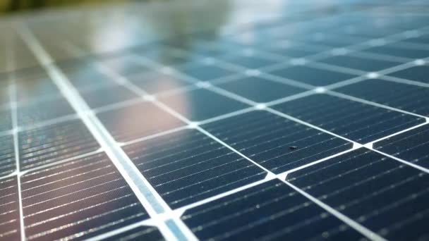 Аранжування Заводу Виробництва Сонячної Енергії Концепція Зеленої Чистої Альтернативної Енергетики — стокове відео