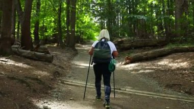Solo tourist hiking in autumn forest. Woman with backpack and knit hat trekking in mountain. Outdoor sports activity in fall season. 