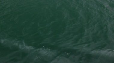 Close up of clean water flowing in a small mountain river, slow motion and shallow depth of field. High quality FullHD footage