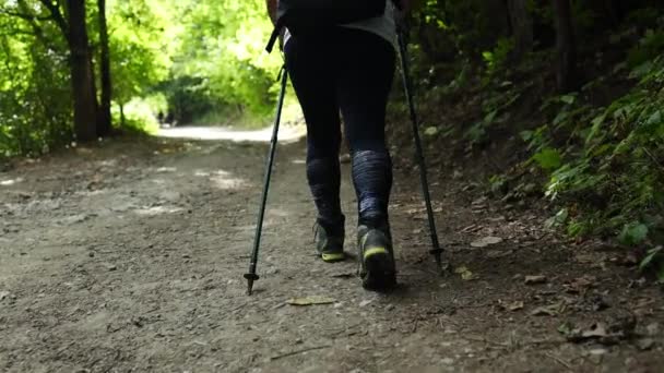 山の森を歩く屋外ハイカーのハイキングシューズ 自然の中でハイキングトレッキングの女性 活動中の女性のハイキングブーツの閉鎖 — ストック動画