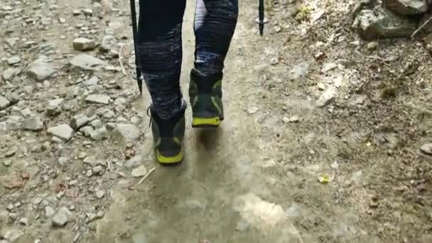 Hiking Shoes Hiker Outdoors Walking Mountain Forest Woman Hike Trekking — Vídeos de Stock