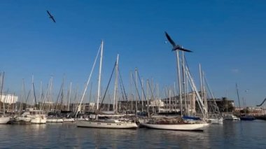 4K Yat Kulübü. Beyaz kayıklar İspanya 'nın Valencia şehrinde yazın günbatımında mavi deniz suyundadır. Güzel büyük martılar yazın suyun üzerinde uçar.