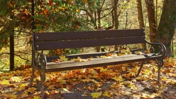 Old Wooden Bench City Park Natural Vintage Autumn Background — Wideo stockowe