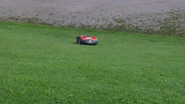 Robotic Lawn Mower Green Grass Background Automatic Robot Lawnmower Modern — Video Stock
