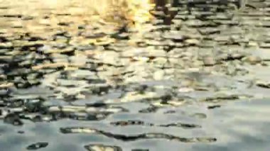 4K Waves of water of the river and the sea meet each other during high tide and low tide. 