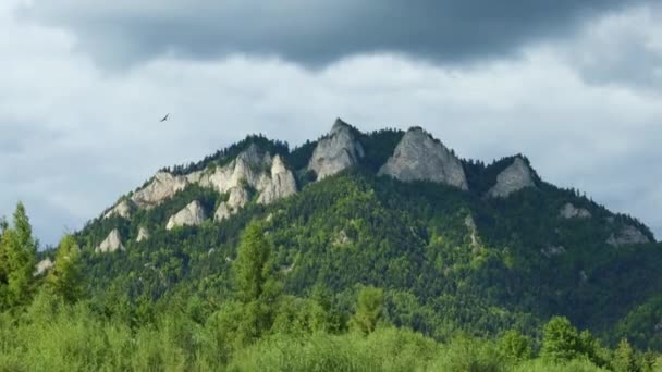 Famous Three Crowns Trzy Korony Mountain Peak Poland Pieniny National — Vídeo de stock