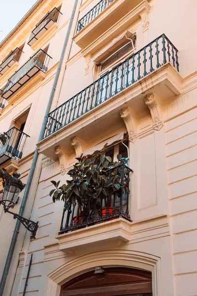 スペインのバレンシアの街の通りにある古い建物の壁 常緑植物で飾られた窓やバルコニー 高品質の写真 — ストック写真