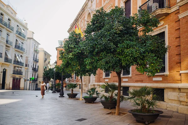 住宅の複数階建ての建物の前の庭に多くの果物とオレンジの木のクローズアップビュー オレンジは木の枝で成長します スペインのバレンシア — ストック写真