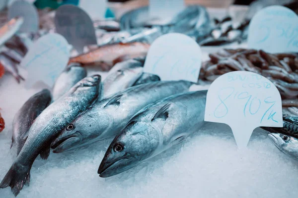 Fischgeschäft Einem Typischen Alten Markt Spanien — Stockfoto