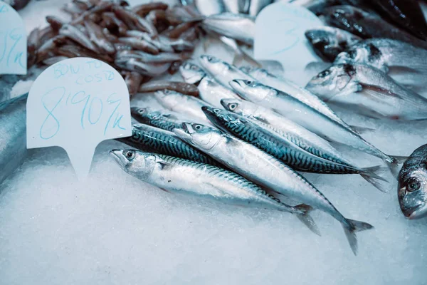 Negozio Pesce Nel Tipico Mercato Vecchio Spagna Seafood Store — Foto Stock