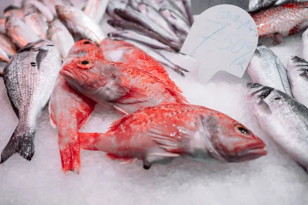 Negozio Pesce Nel Tipico Mercato Vecchio Spagna Seafood Store — Foto Stock