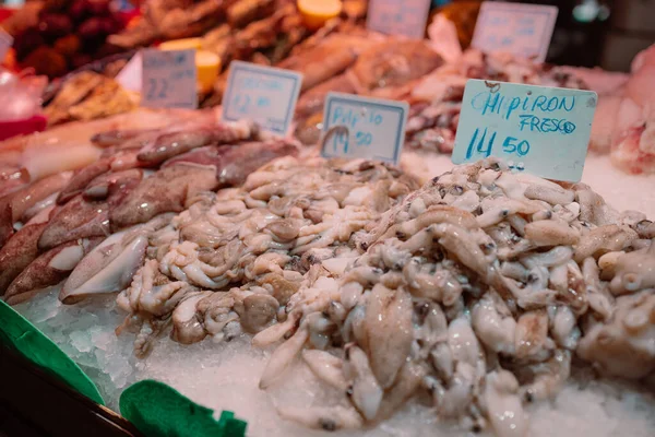 어부들이 오징어는 시장에서 팔리기 경매에서 스페인 의해식 상점에서 선택적 초점을 — 스톡 사진