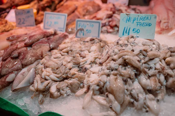 어부들이 오징어는 시장에서 팔리기 경매에서 스페인 의해식 상점에서 선택적 초점을 — 스톡 사진
